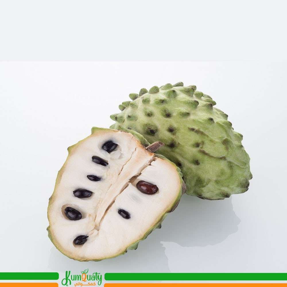 قشطة كولومبيا (حبة)
