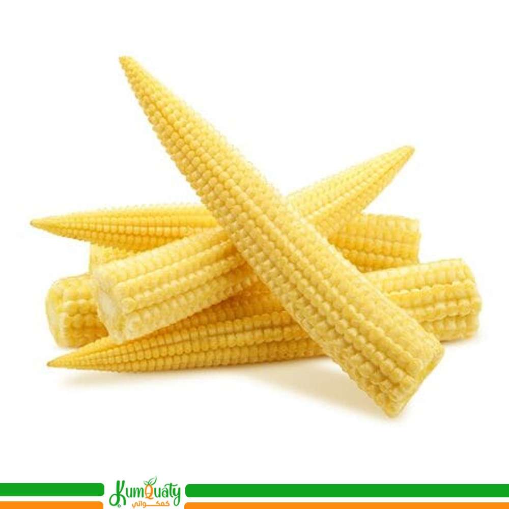 ذرة صغيرة ( صحن )