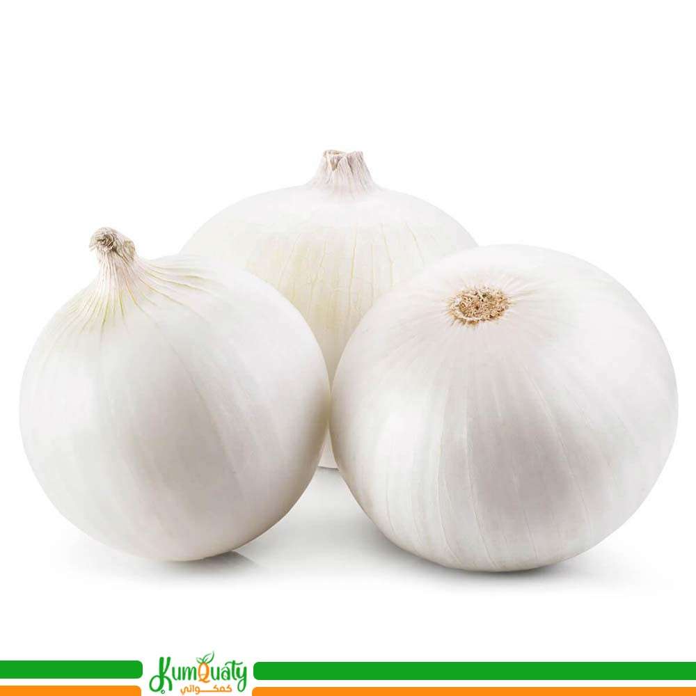 بصل ابيض  كيس كيلو و 800 جرام تقريبا