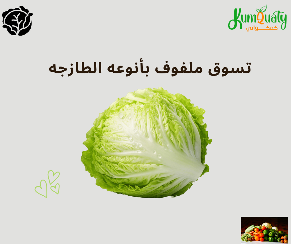 تسوق ملفوف بأنوعه الطازجه من متجر كمكواتي