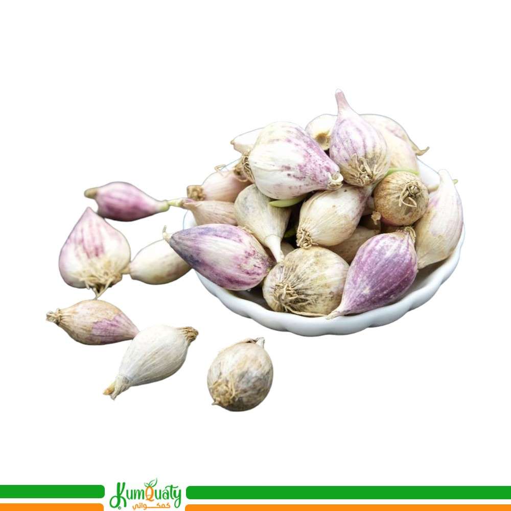 ثوم ذكر  (فلين صغير)