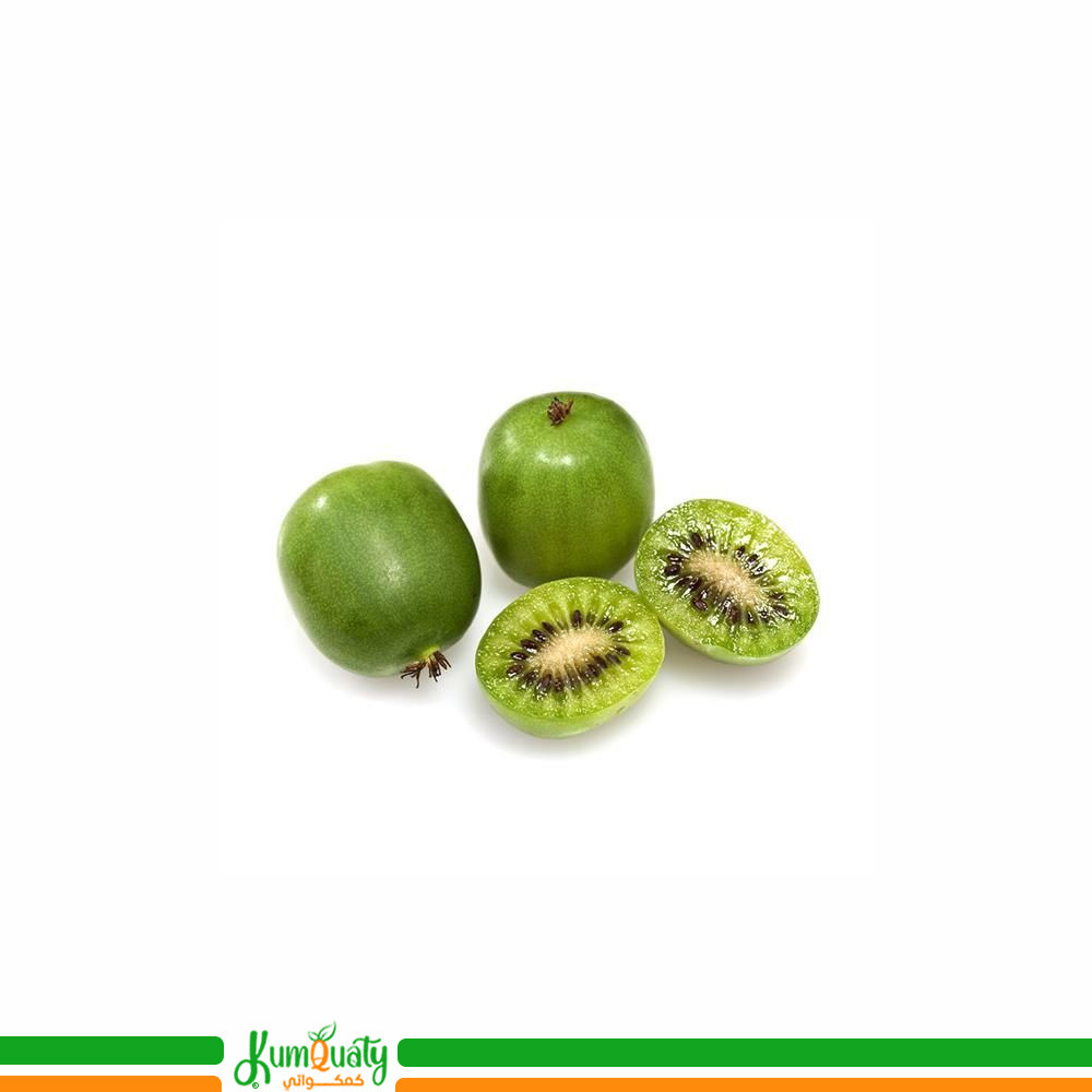 كيوي بيبي علبة