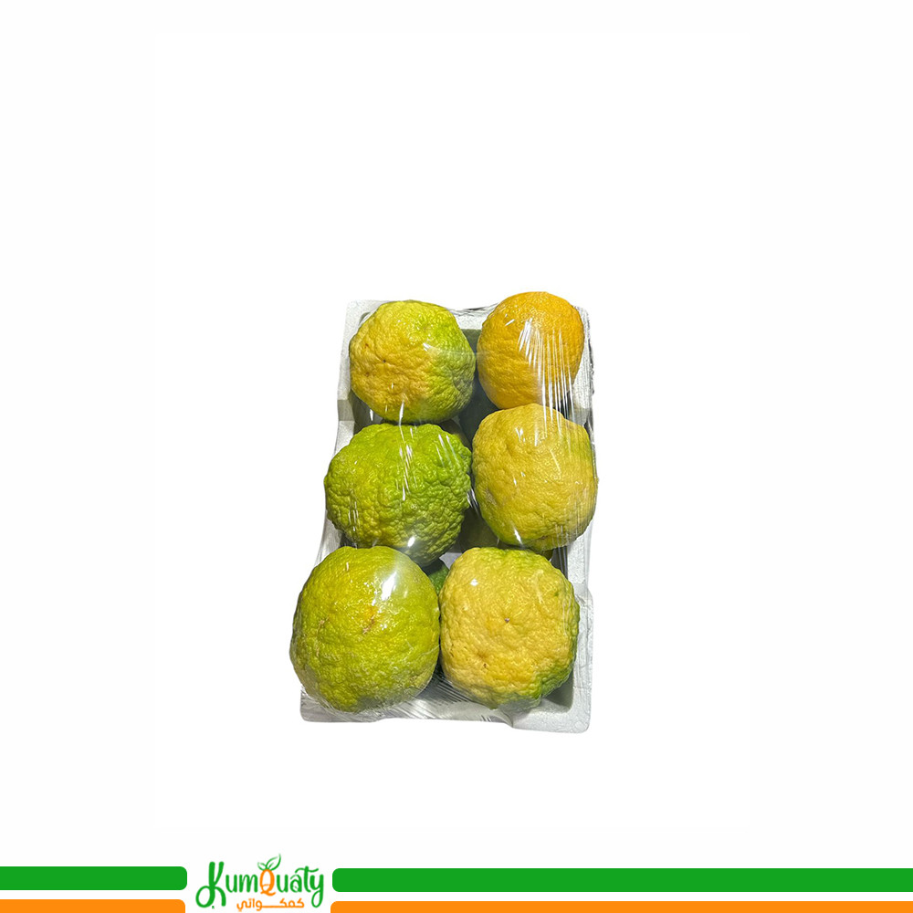 ترنج وطني فلين