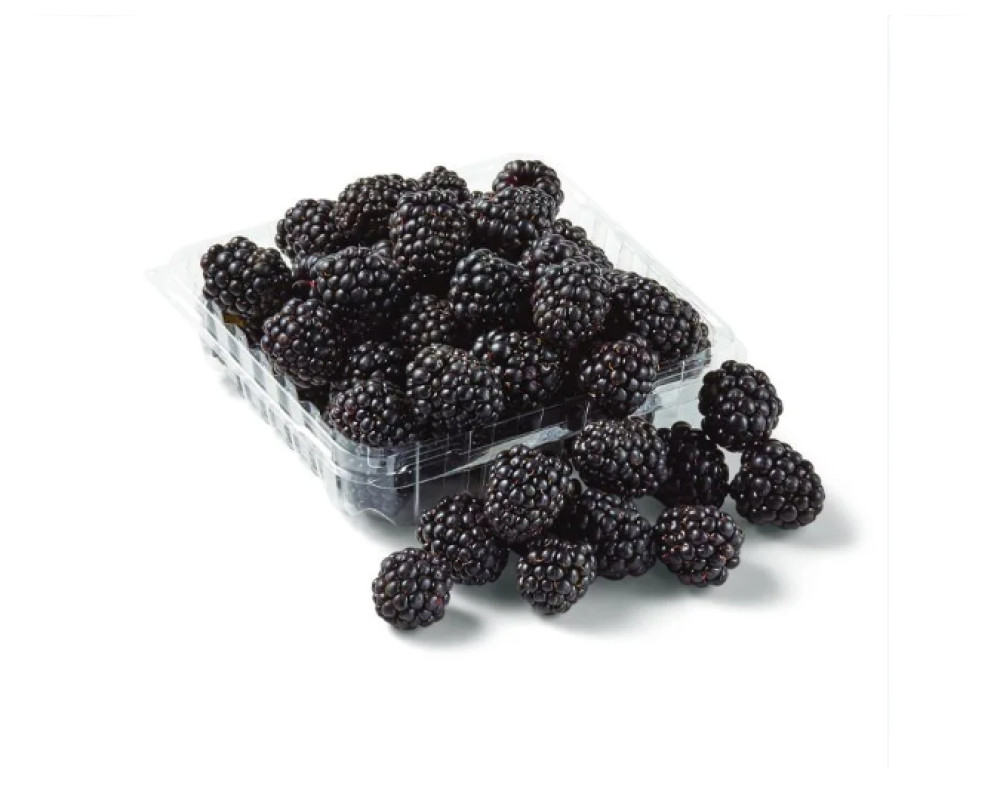 توت اسود بلدي علبه