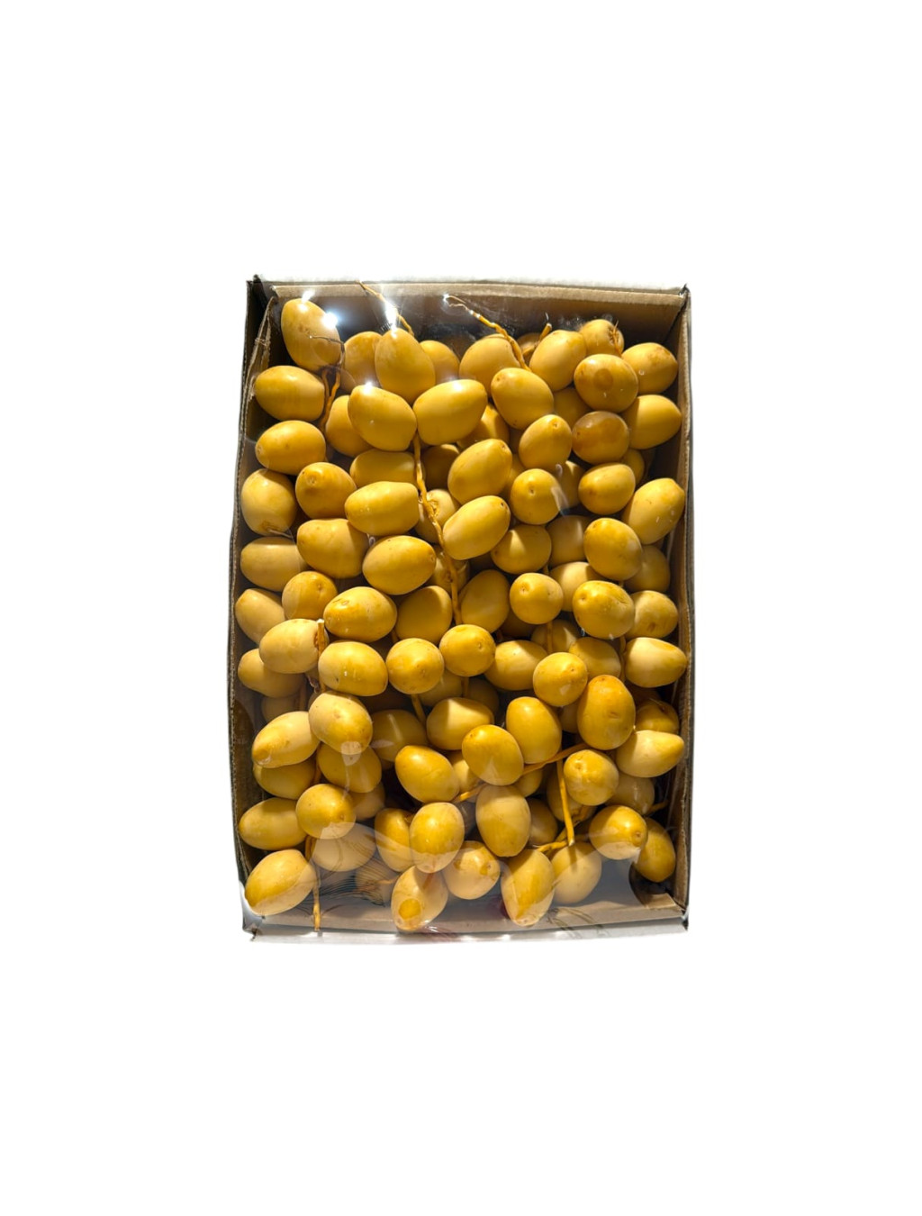 برحي الجوف كرتون