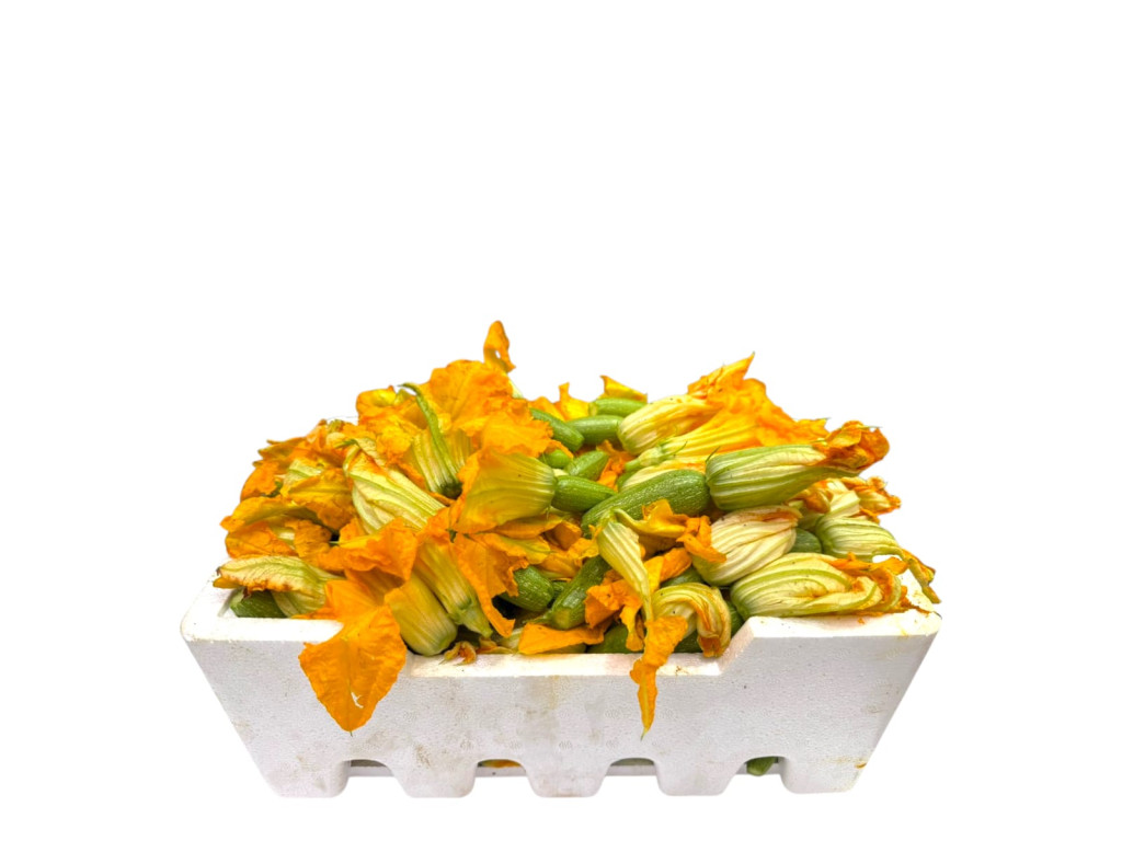 كوسه فلين كبير 3 كيلو تقريبا