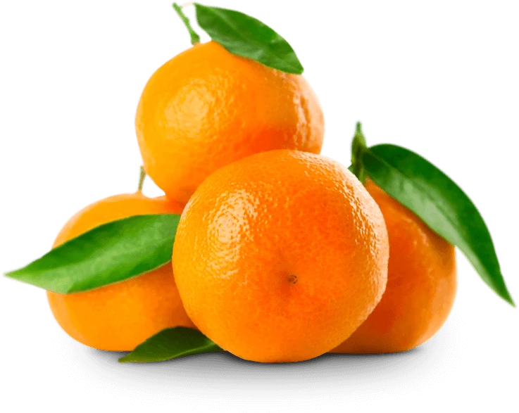 يوسفي فندي صيني - 1كيلو