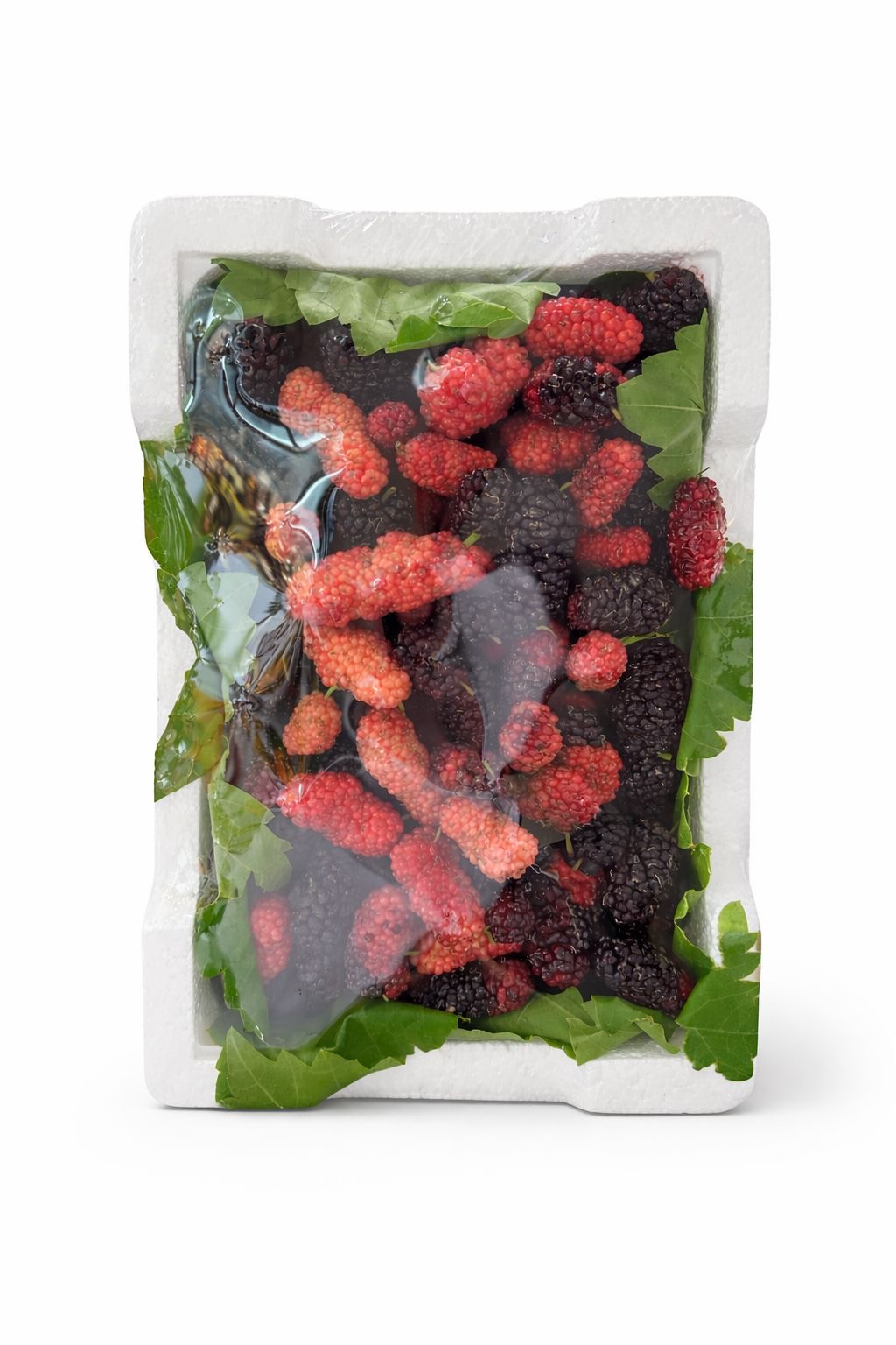 توت احمر شامي