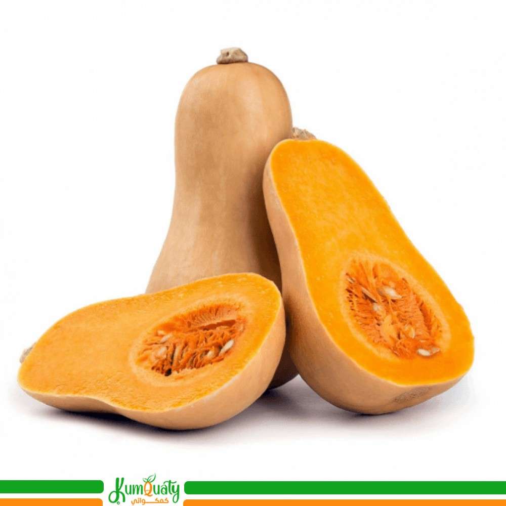 قرع امريكي حبه