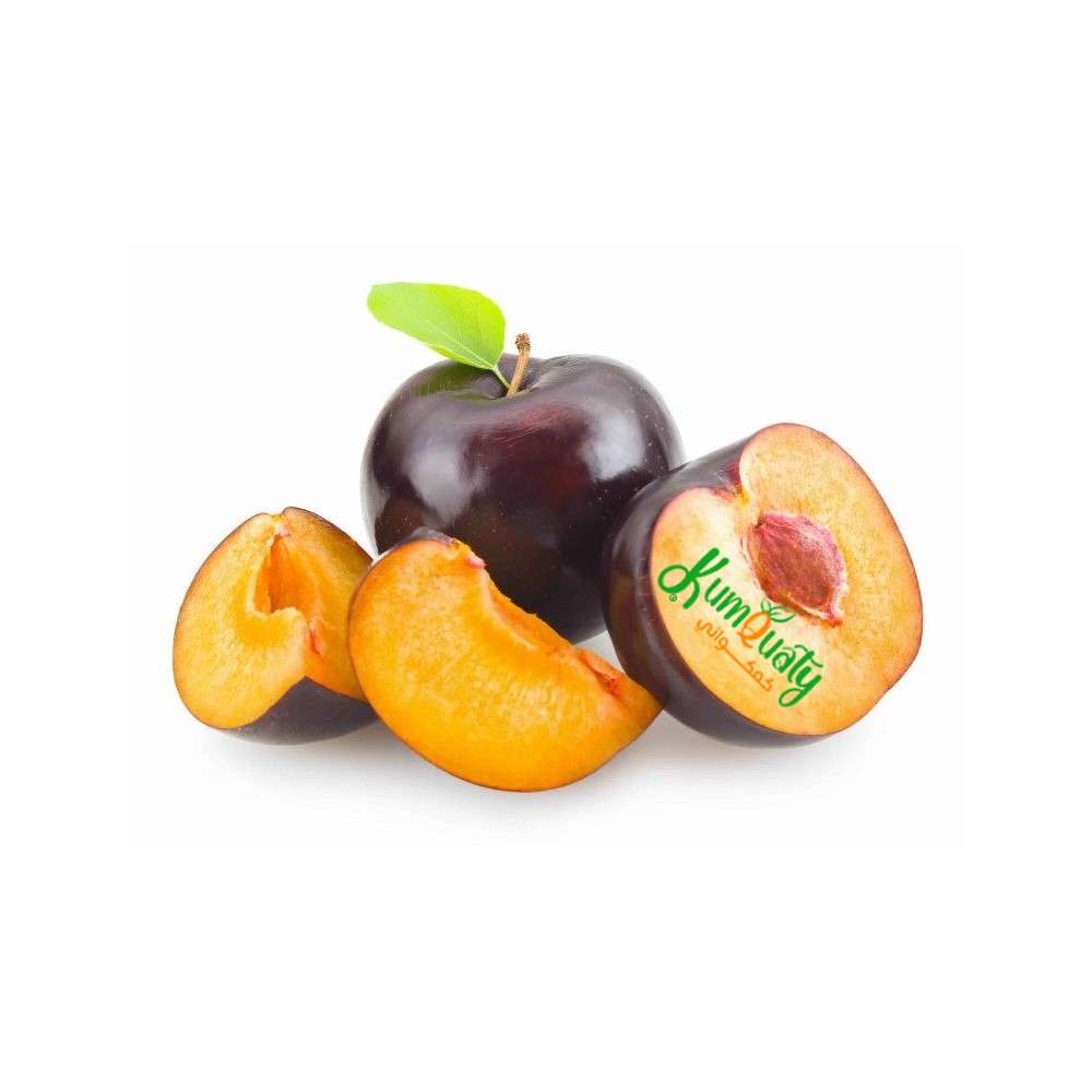 بخارى افريقي علبة