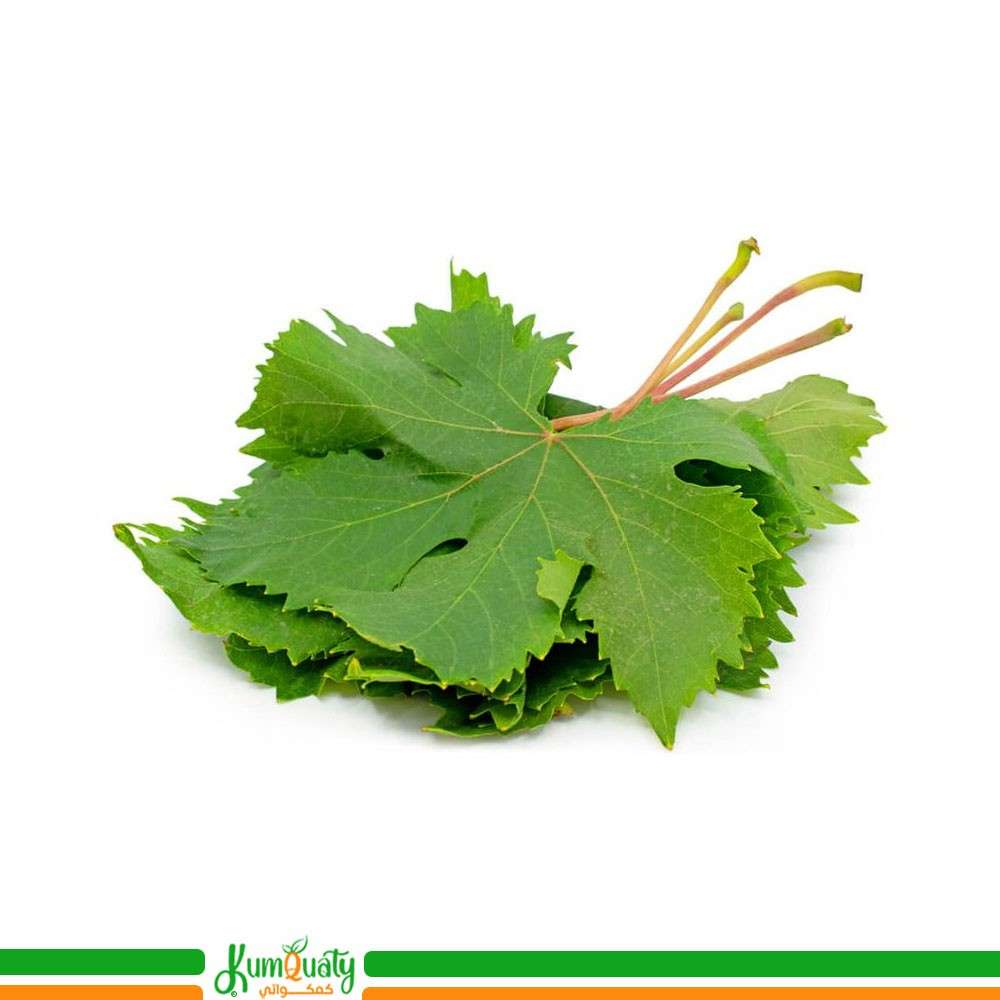 اوراق العنب