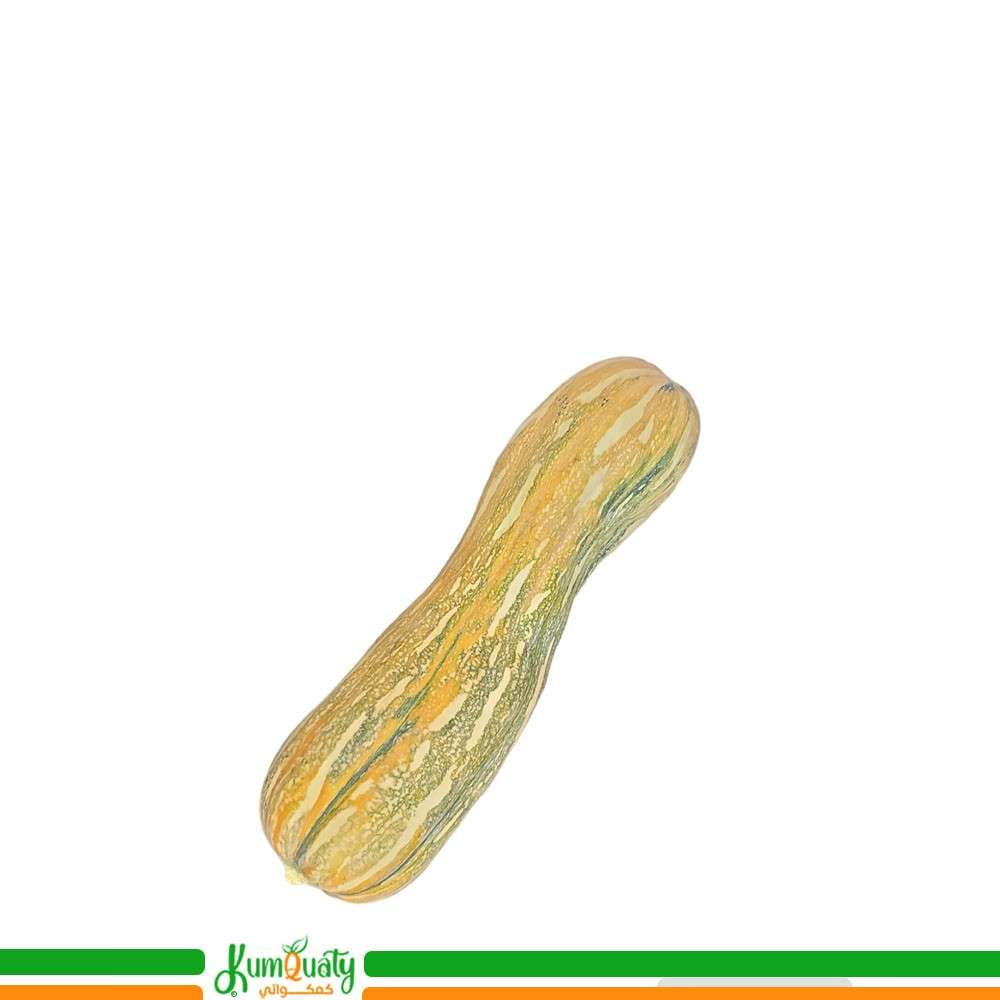 قرع فيولينا