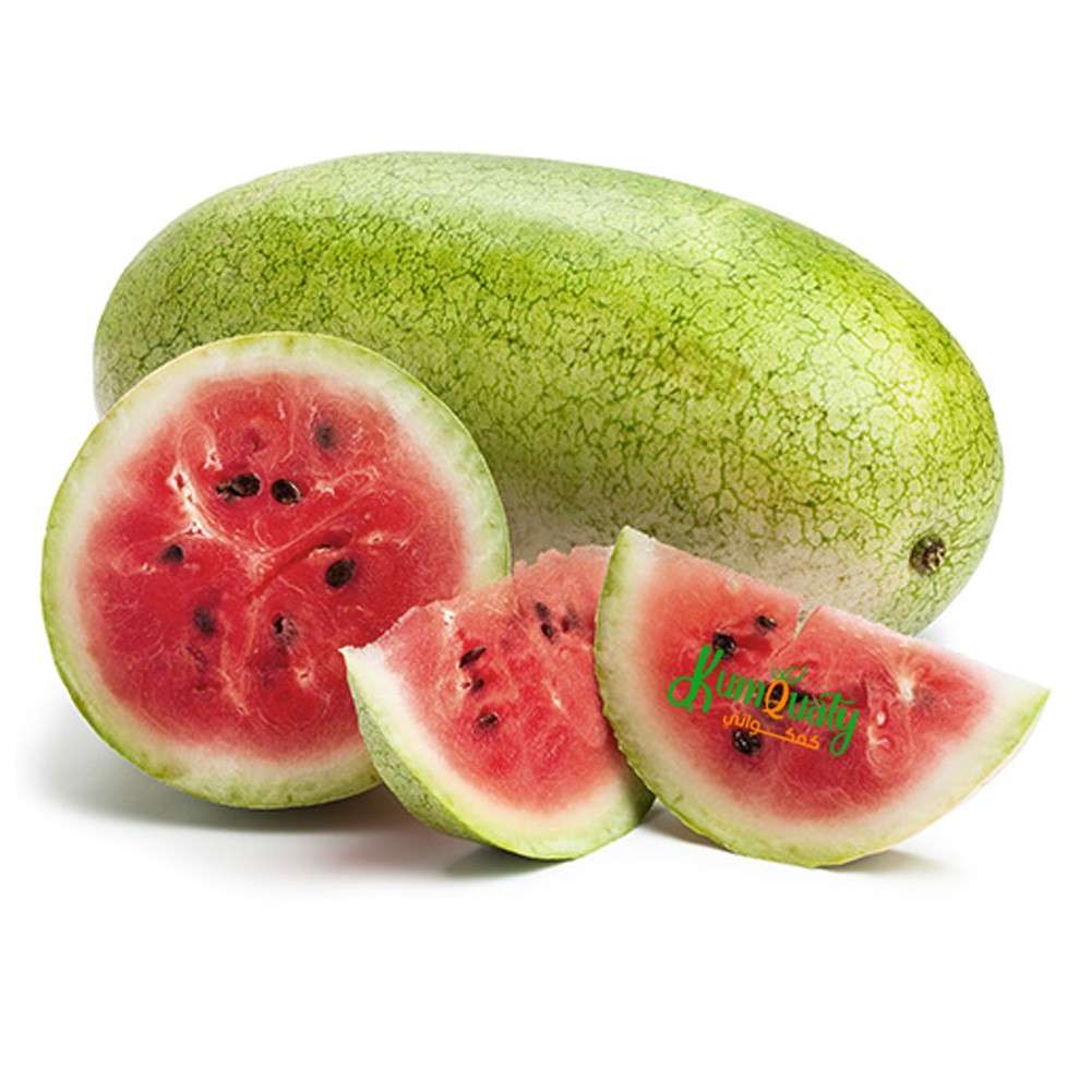 بطيخ ( حبحب ) طويل حبة