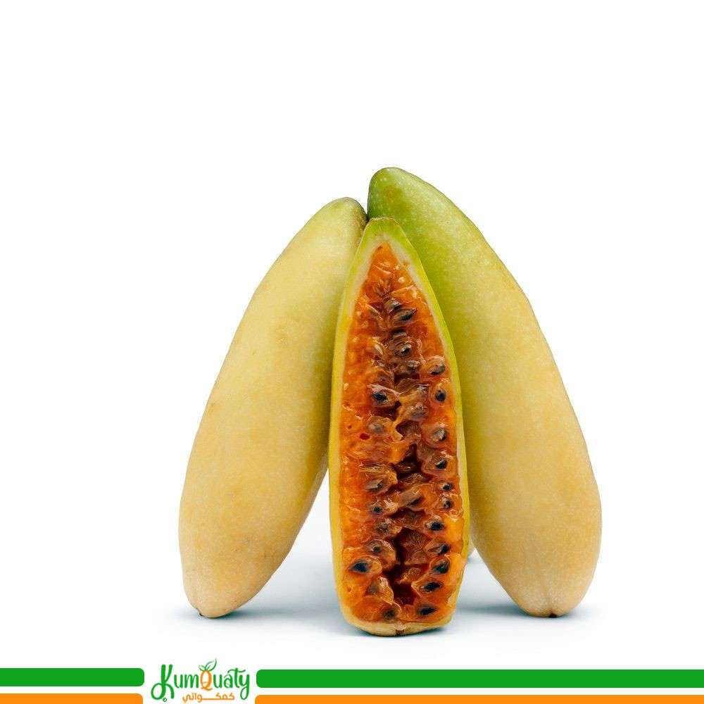 موز باشن فروت كولومبيا صحن