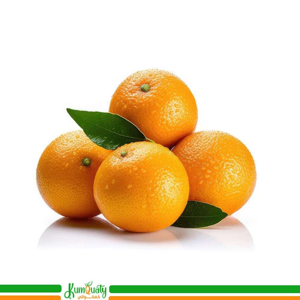 برتقال افريقي صرة كيلو