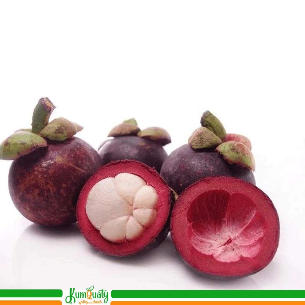 مانجوستين صحن 500 جرام تقريبا