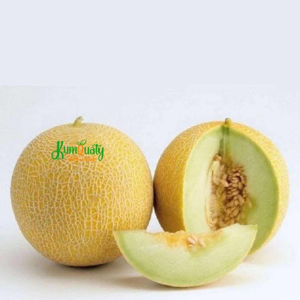 شمام مانجاوي فلين