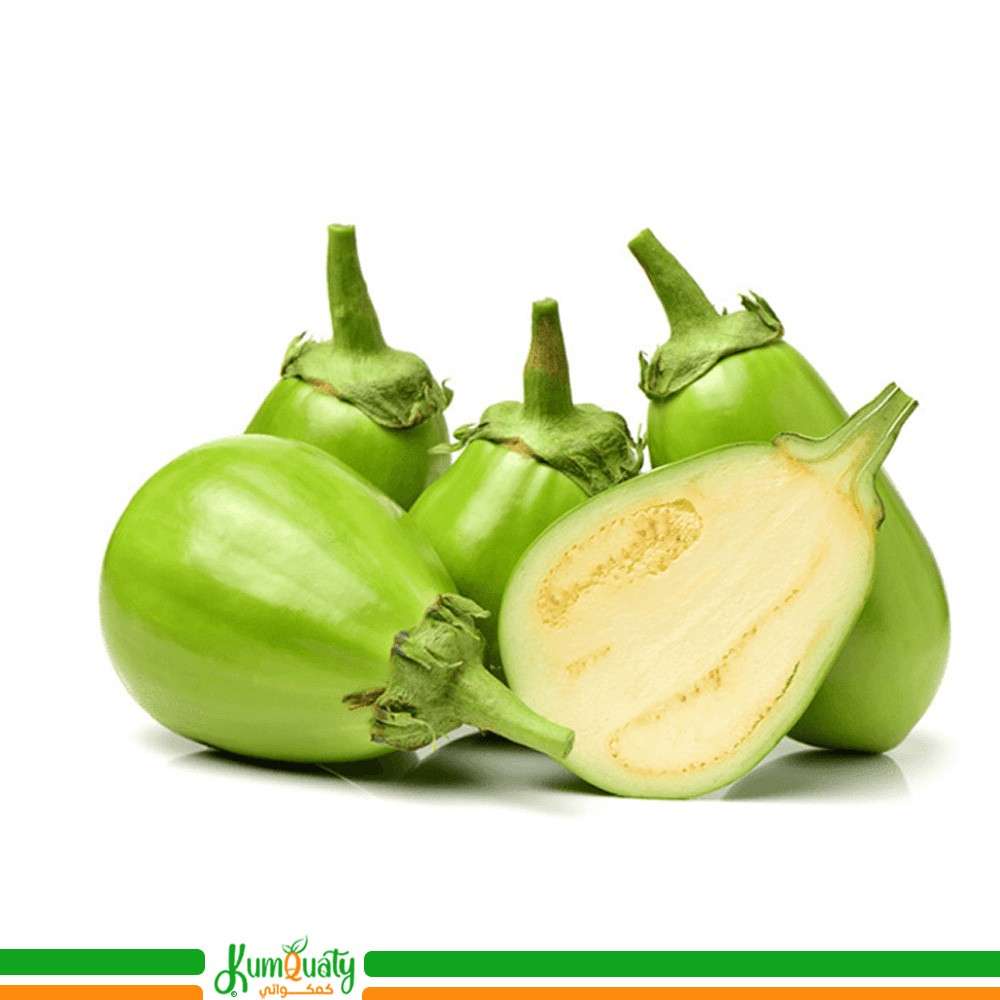باذنجان اخضر فلين وسط