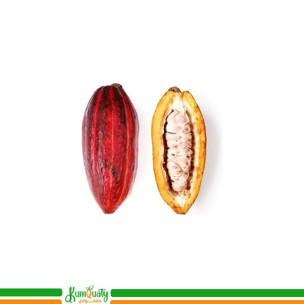 فاكهه الكاكاو