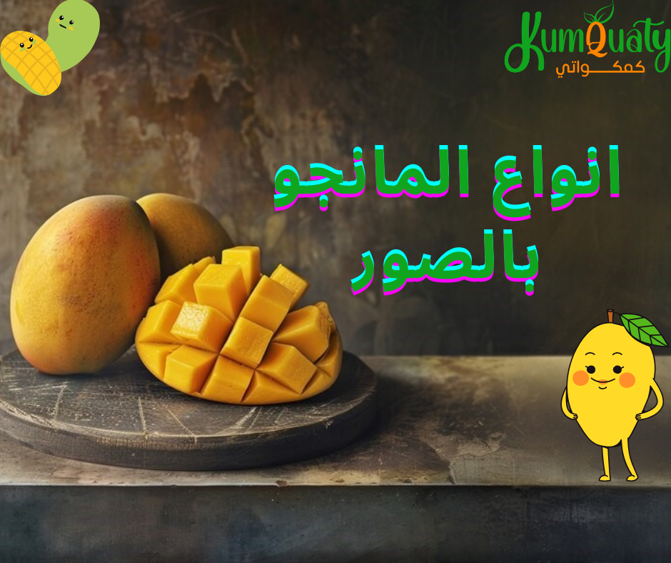 اليك افضل انواع المانجو بالصور من متجر كمكواتى