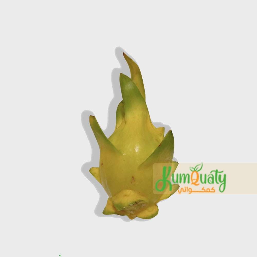 ( دراجون ) فاكهة التنين الاصفر صحن