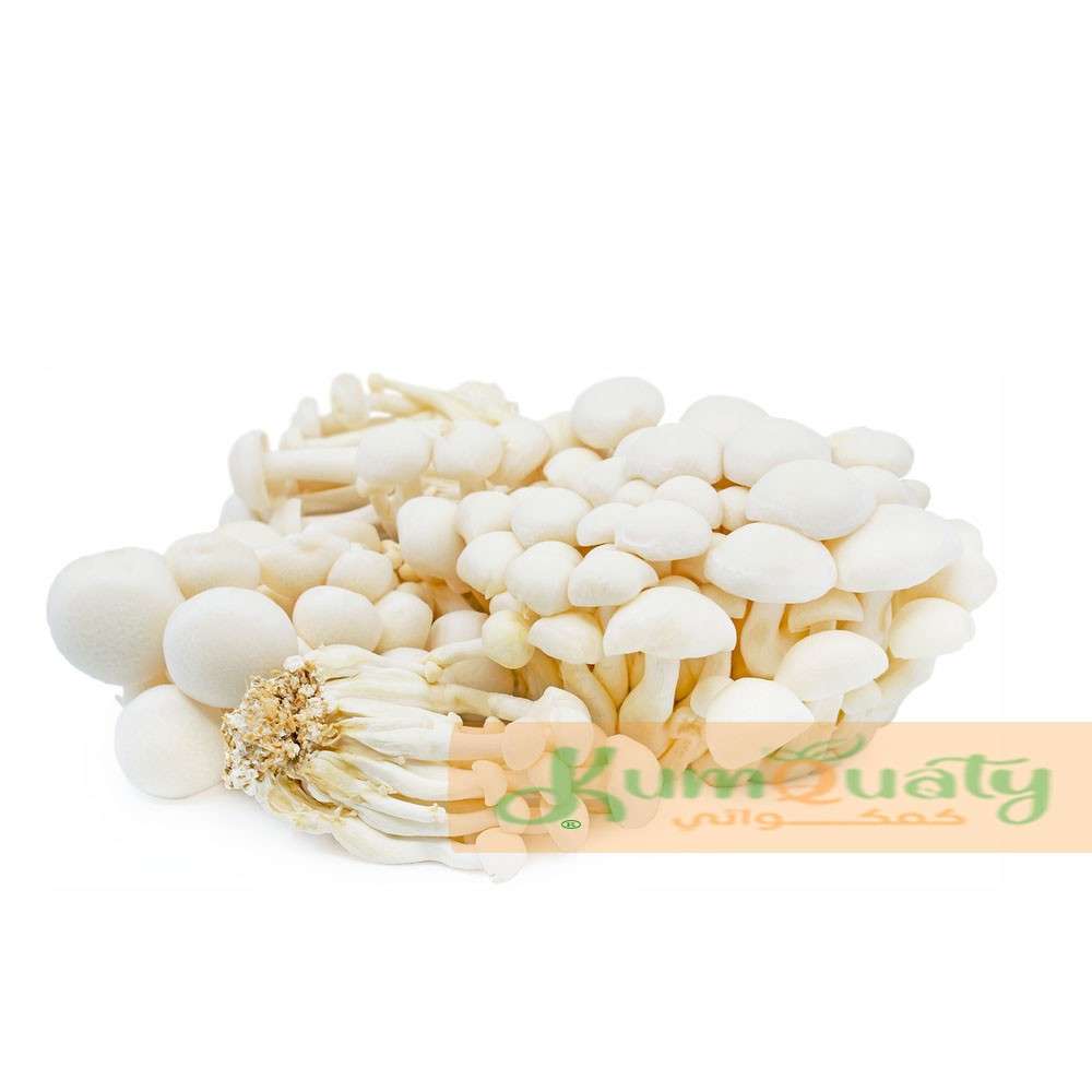 فطر شمجي ابيض علبة 150 جرام